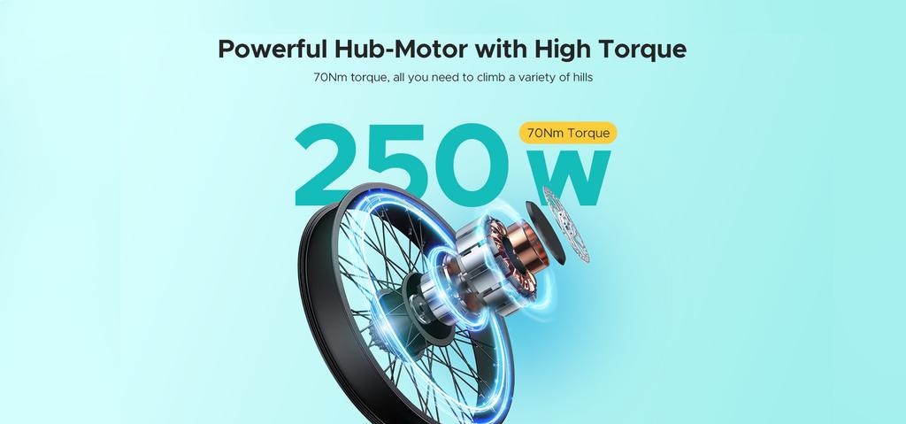 Electric Bike ENGWE E26 48V16Ah 140KM Black, Oryginalny Dyson - E26-ENGWEC