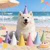 Colorful Macaroon Cone-Shaped Birthday Party Hats for Rainbow-Themed Parties Decorative Accessory 5