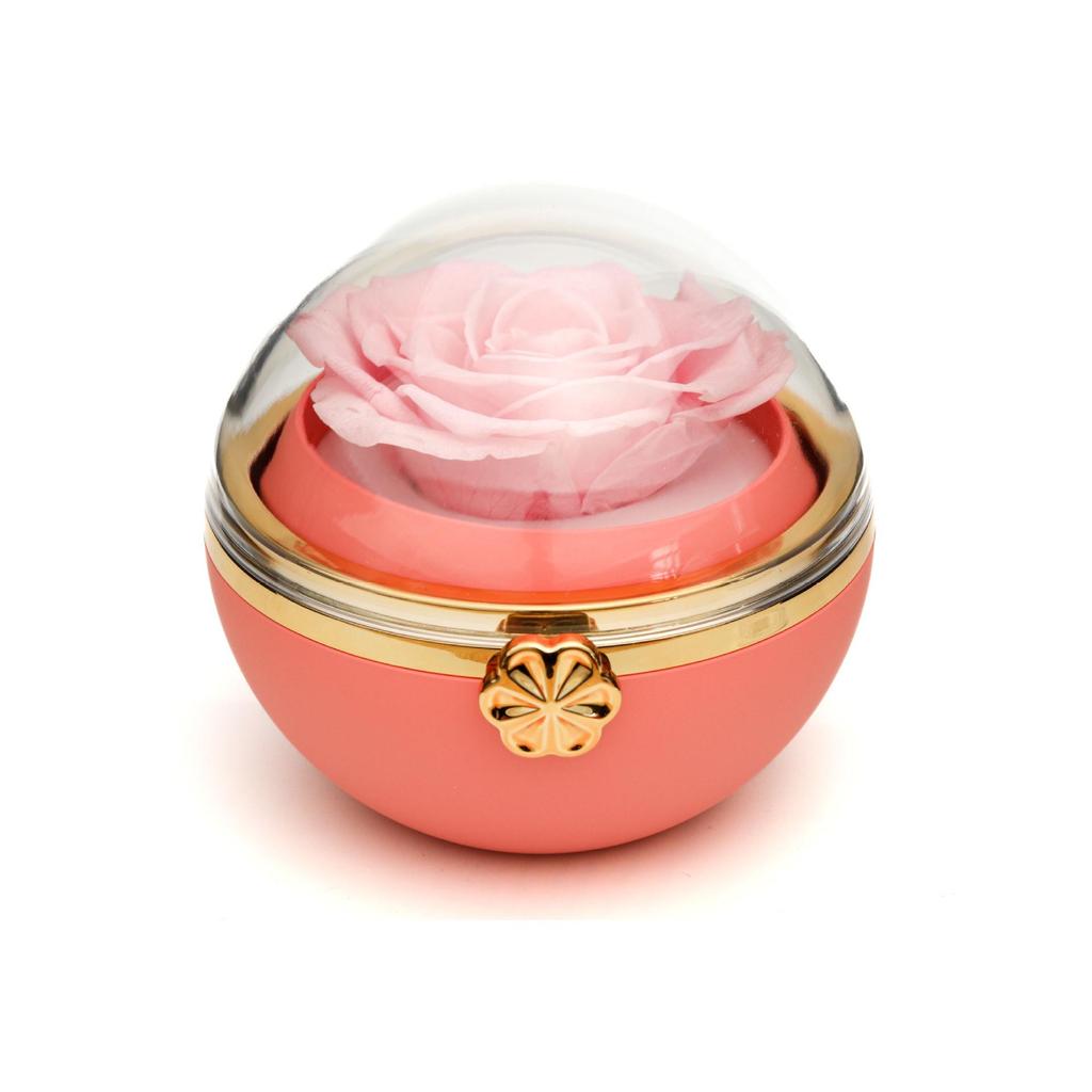 Rotating Rose Gift Box with Necklace and Ring - Valentine's Day Eternal Flower Jewelry Box
