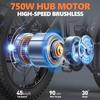 LD20 dospělé horské elektrokolo 750W motor Ebike 48V20Ah baterie městské elektrokolo 20 palců celoplošná pneumatika elektrokolo
