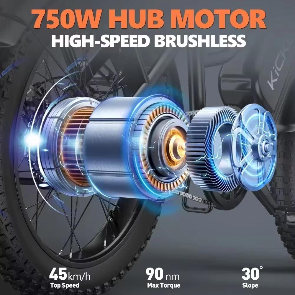LD20 dospělé horské elektrokolo 750W motor Ebike 48V20Ah baterie městské elektrokolo 20 palců celoplošná pneumatika elektrokolo