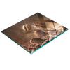 Kitchen Multifunctional Decorative Glass Board Coffee Beans Smoke 60X52 Cm