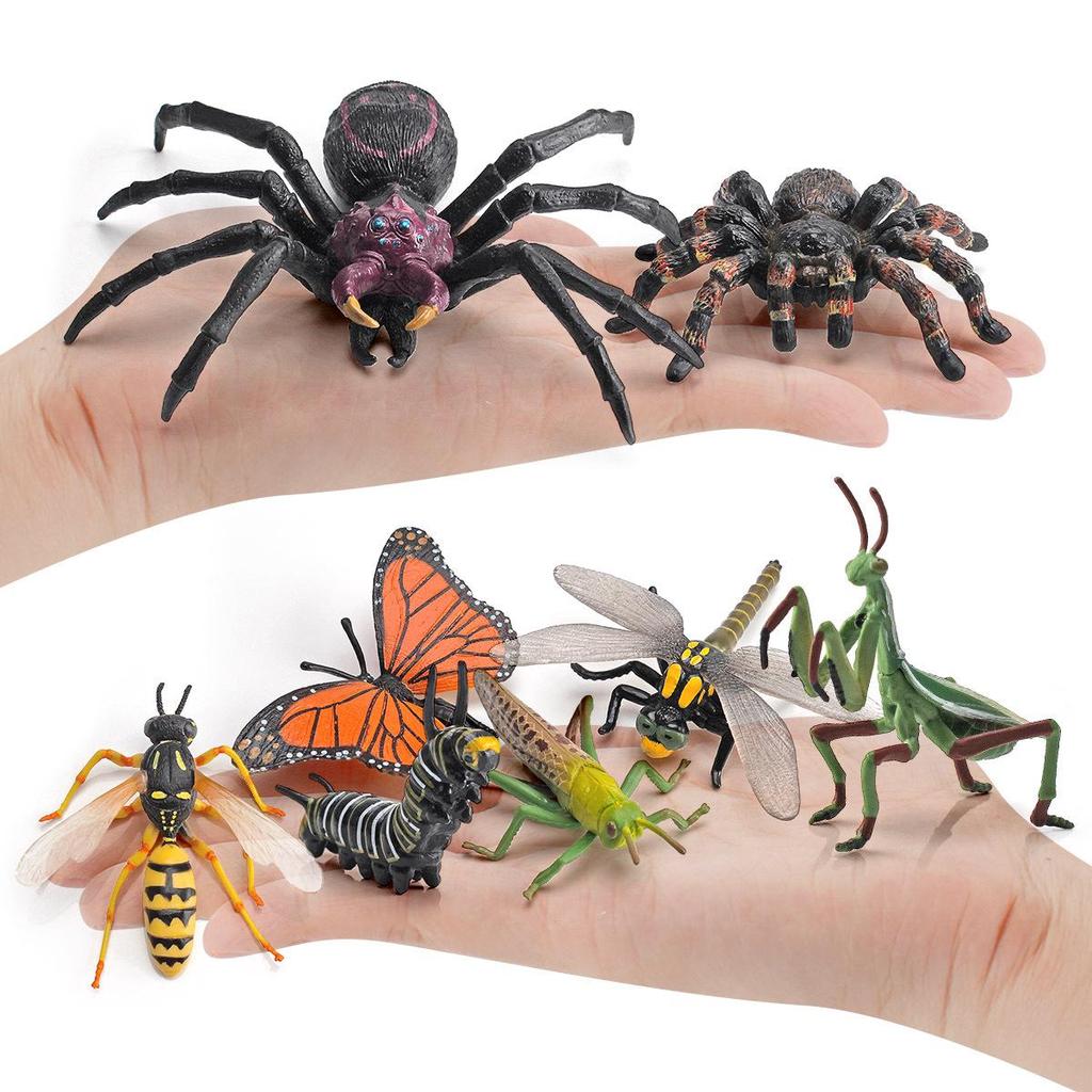 Wild Insect Model Toys: Poisonous Spider, Caterpillar, Butterfly, Mantis, Grasshopper, Dragonfly, Wasp Ornaments