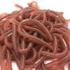 18Cm 5G Simulated Insect Model Tpr Soft Rubber Small Animal Pseudo Long Earthworm Pseudo Red Worm Toy