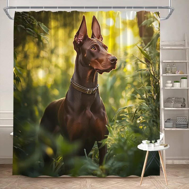

Alert Doberman Shower Curtain Muscular Dog Glossy Fur Sunlit Nature Polyester With 12 Hooks Machine Washable Bathroom Decor W60H190(CM)-1 Pcs