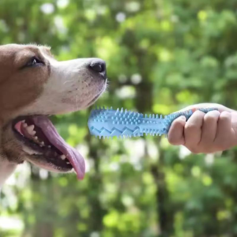 Durable Dog Chew Toy Stick Soft Rubber Toothbrush with Tooth Cleaning Points And Massage Features for Pet Oral Care