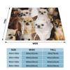 Chihuahuas Dog Wool Blankets Animal Cute Cartoon Creative Throw Blanket for Home 200x150cm Rug Piece
