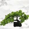 Small Artificial Bonsai Pine Tree Simulation Potted Plants Desktop Display Tree for Windowsill Home Office Decoration Ornaments