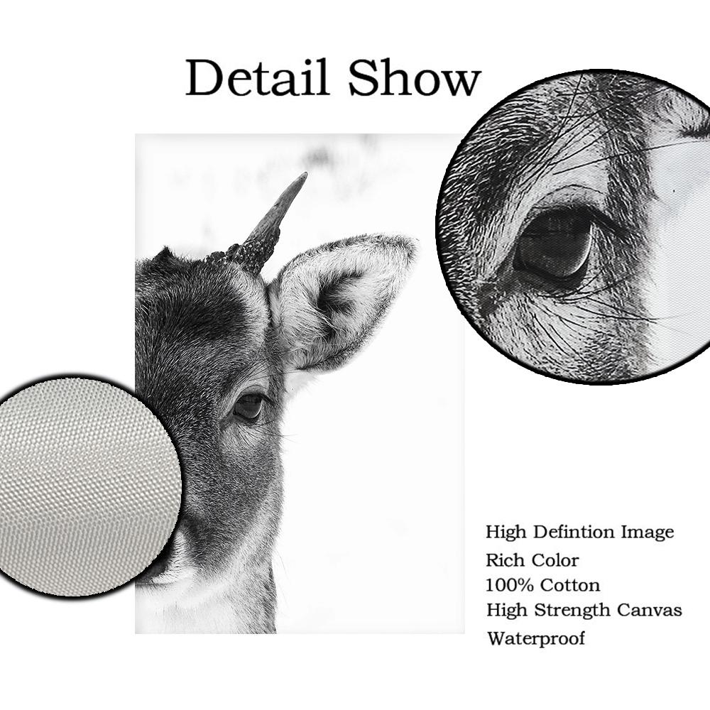 Animal Side Face Portrait Modern Wall Canvas Print Wild Life Art Poster Black and White Photo For Living Room Home Decor Cuadros