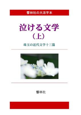 [Large Print Book] Tear-jerking Literature (Vol. 1) - 13 Masterpieces of Modern Literature