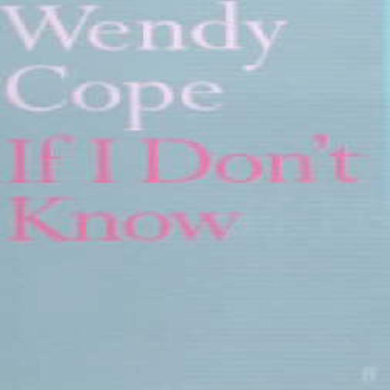 Making Cocoa for Kingsley Amis by Wendy Cope Paperback Book 9780571137473