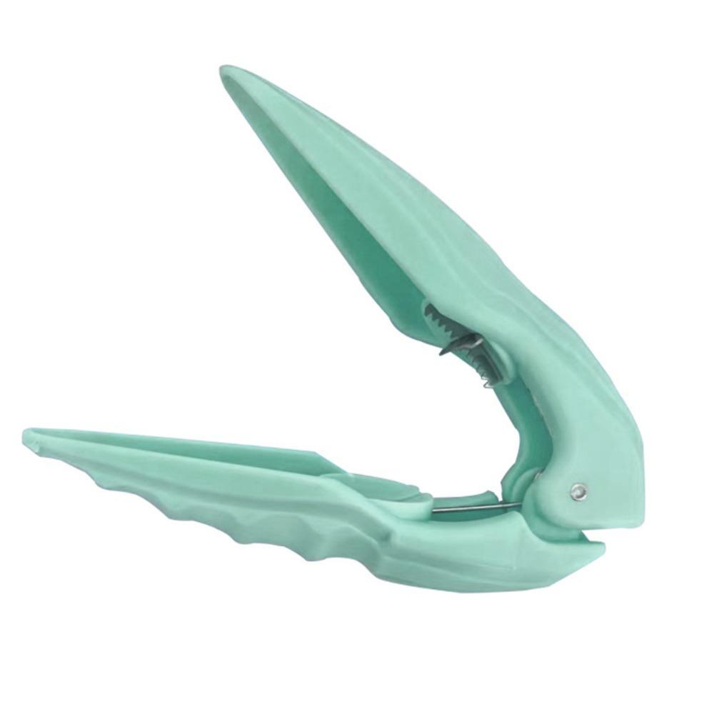 Cross Design Chestnut Cutter Sharp Chestnut Sheller Chestnut Peeling Tool Walnut Opener  Dessert