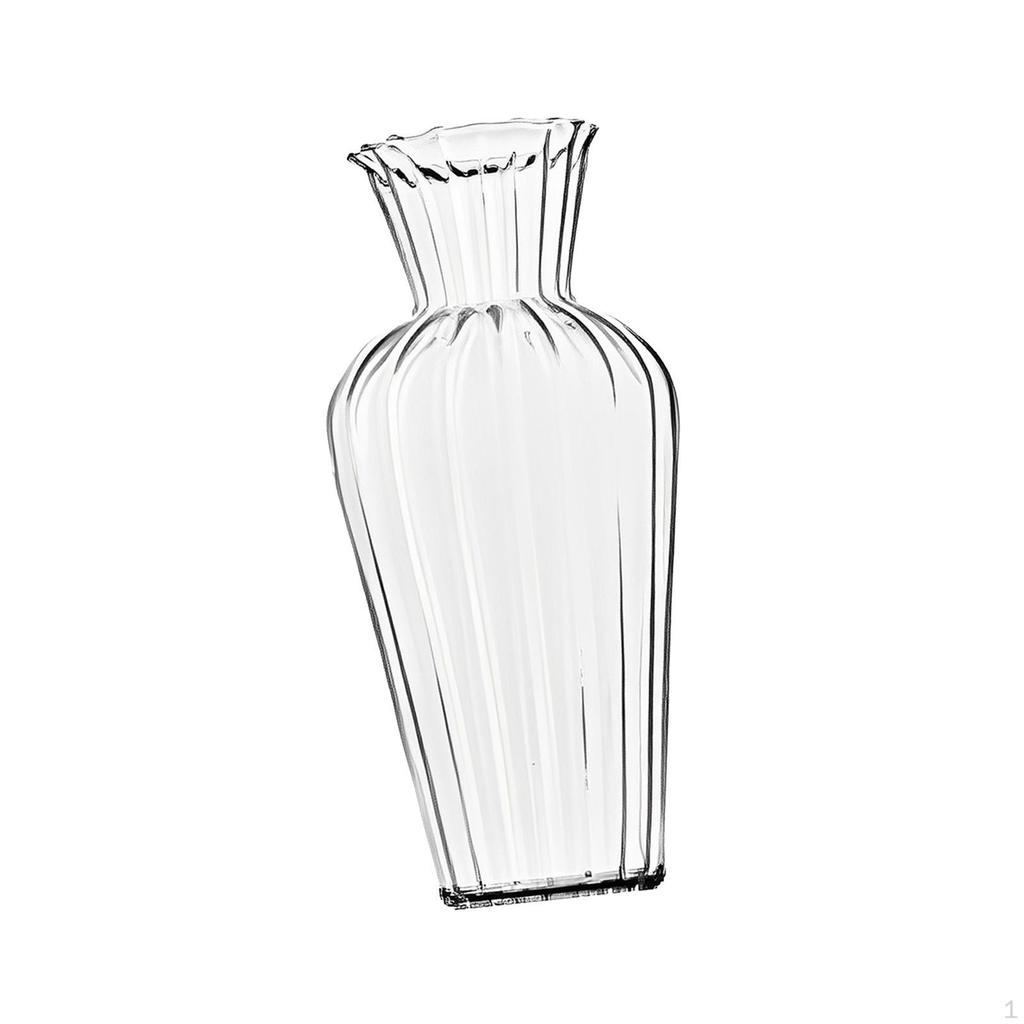 Elegant Glass Vase for Plant Propagation And Floral Display