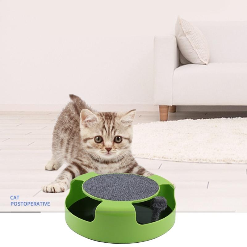 Funny Mouse Teasing Track Circuit Toy Interactive Cats Toy for Indoor Pet Funny Cats Mouse Toy with Track Toy