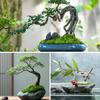 Artificial Moss for Crafts - 5.3oz Fake Moss for Potted Plants Indoor, Fairy Garden Decor, Model Making, Walls, Glass Containers | Realistic Faux