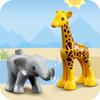 LEGO Duplo My Town African Animals 10971 (Multicolor)