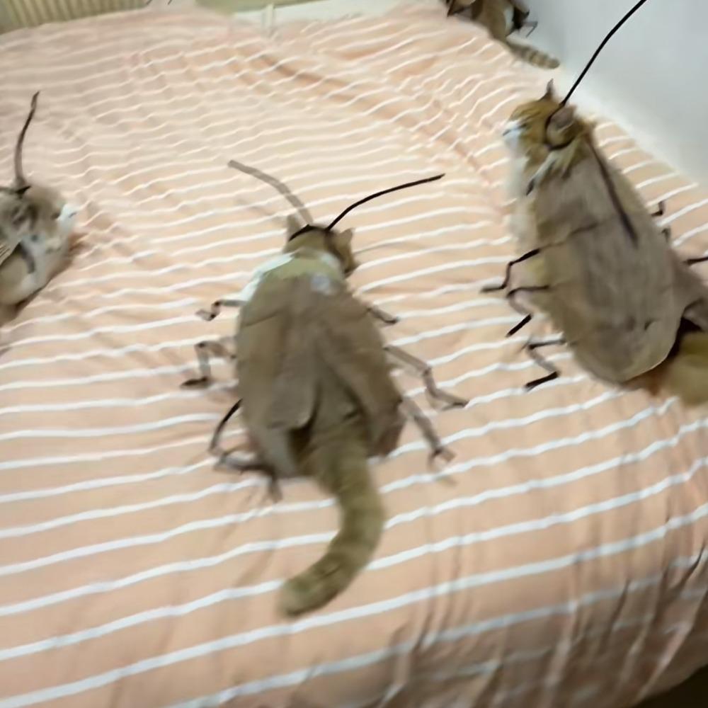 Indoor Playing Cat Toys Dress Up Material Pack Cosplay Accessory Funny Cat Cockroach Clothing