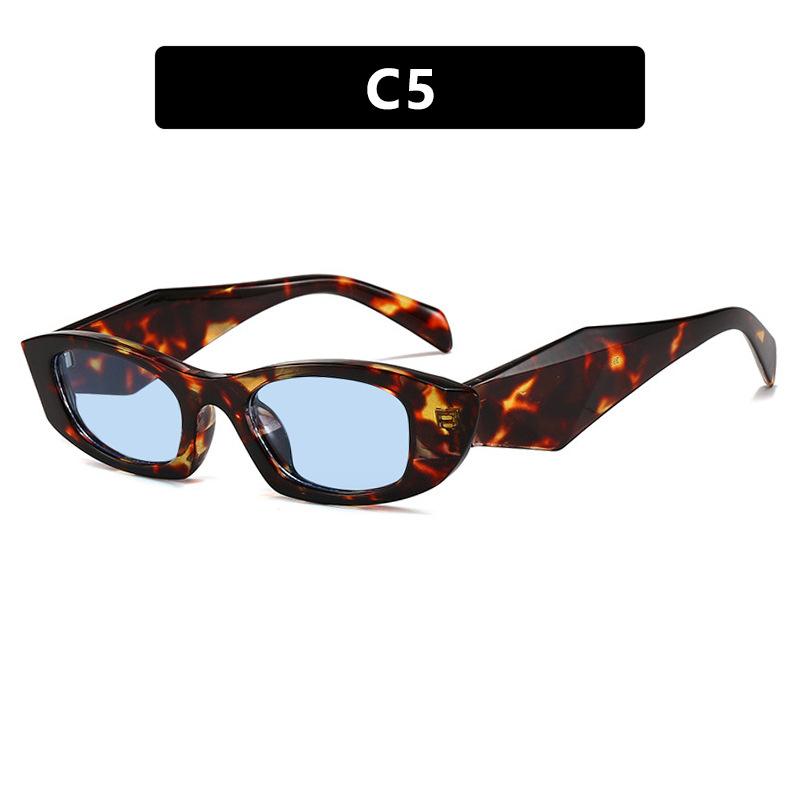 Cat Eye Small Frame Sunglasses for Women Outdoor Retro Fashion Sun Glasses UV400 Protection Vintage Chic Eyewear