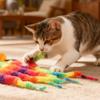 1/20x Twisted Worm with Fluorescent Bouncing Ball Colorful Elastic Strips Cats Pets Interactive Caterpillar Toy Pet Supplies