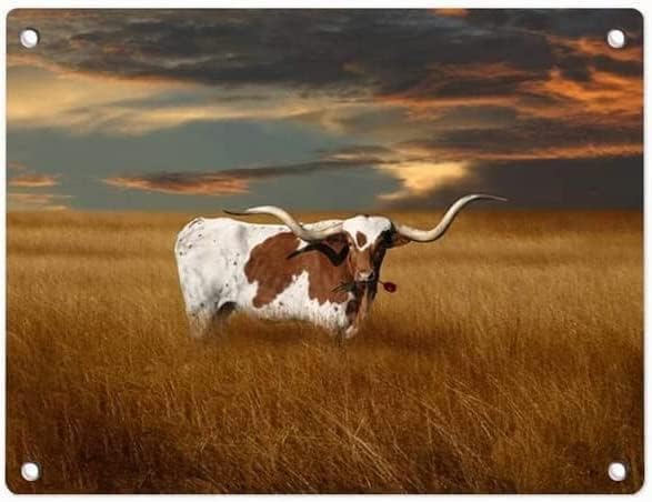 Vintage Tin Sign Metal Plaque Texas Longhorn Sunset Grass Sky Metal Sign Iron Painting Retro Wall Decor Poster for Home Hotel Ca 20x30cm(7.8x11.8inch)