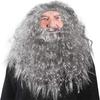 Dumbledore Cosplay Wig Synthetic Hair Halloween School Gandalf Wizard Costume Wig Man Albus Long Wave Grey Beard Wigs for Men