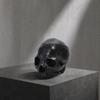 Yousheng Resin Skull Ornament, Dark Style Skull Halloween Prop, Sturdy Durable Teaching Model, Matte Black Anatomy