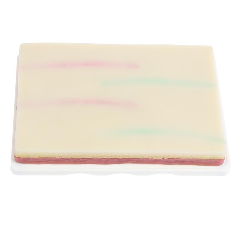 Venipuncture Injection Practice Model Silicone Human Skin Suture Training Model