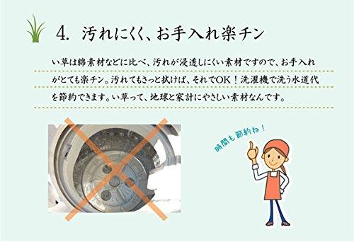 IKEHIKO Igusa Rug, Made in Japan, Triple-Weave, DX Gradient Green, Approx. 140 x 200 cm, with Backing #1709700