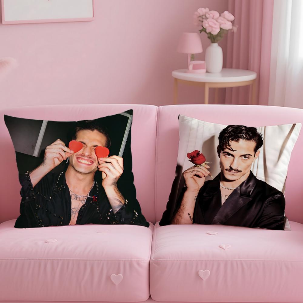 Singer D-Damiano D-David Cushion Cover Comfortable Reversible Pillow Cover Ideal for Car Sofa Bedroom & Beyond
