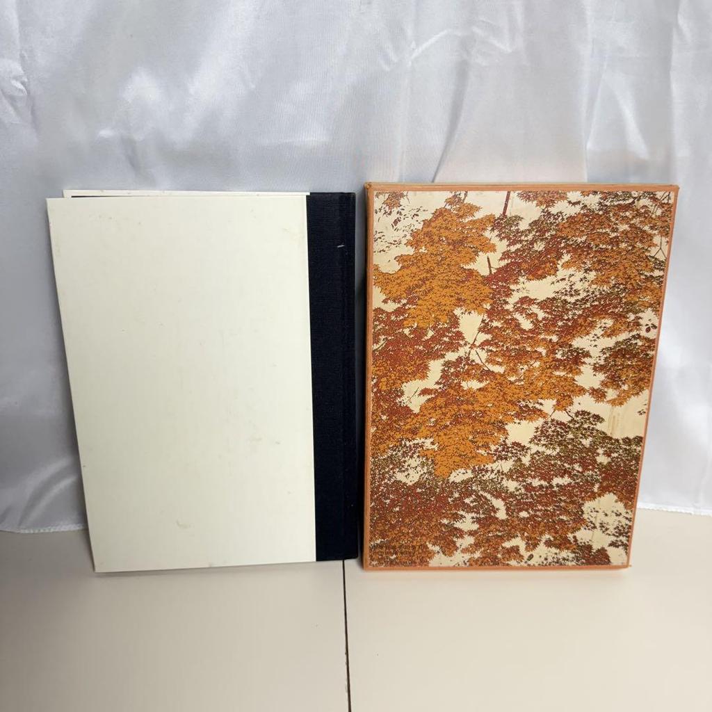 [USED] Contemporary Japanese Art Collection Set