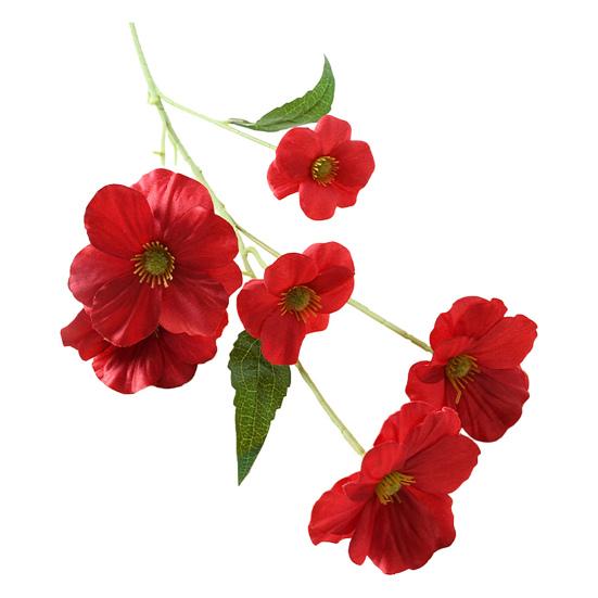 

Искусственный цветок Фаленопсис 6 головок Цветет Искусственный шелковый цветок Ветка со стеблем для Свадьбы Дома Офиса Вечеринки Отеля Декор красный