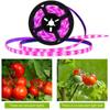 Led Plant  Growth  Light  Bar Waterproof Usb Interface Super Bright Full-spectrum Lamp For Indoor