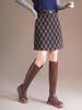 Plaid High-Waist A-line Skirt: Winter 2025 Petite Fashion