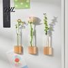 Glass Test Tube Planter Fridge Magnet Vase Clear with Wooden Base Non-drill Magnetic Mini for Flowers Herbs Refrigerator Kitchen Decor Decoration