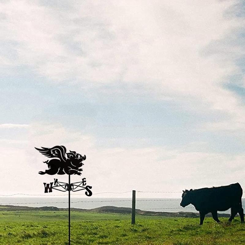 Iron Rooster Metal Weather Vane Family Name Wind Direction Light Weather Roof Mount Wind Vane Outdoor Accessories