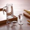 CLITON Premium Chinese Baijiu Drinkware Sets
