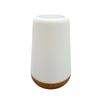 Oeny Rechargeable Tap Touch LED Lamp with Remote