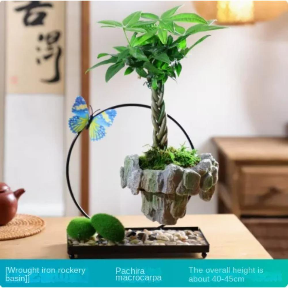 Facai Tree Nantianzhu Mizhu Bryophyte Green Plants Potted In the Living Room Office Small Leaf Rosewood Potted Landscape