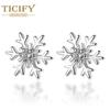 Снежные полые серьги, посеребренные серьги, женские рождественские подарки, украшения для ушей с вермикулитом