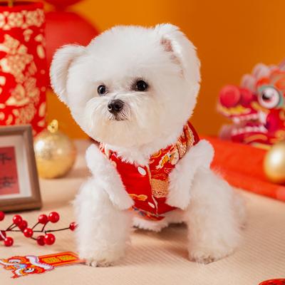 Dog Clothes New Year's Gold Silk Dragon Pattern Rough Edge Four Feet Warm Small Dog Bi Xiong Teddy Autumn Winter Pet Tang Clothing