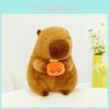 Capybara Plush Toy Cute Cartoon Hugging Persimmon Girl Kid Birthday Gift Holiday
