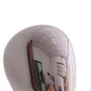 Mannequin Head Wall Mounted Display Holder Stable Hairpieces Hat Rack for