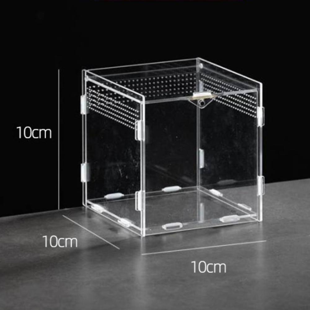 Anti-Escape Reptile Habitat Clear Spider Feeding Case Durable Lizard Breeding Box  for Chameleon