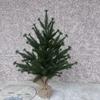 2025 Eco-Friendly Christmas Tree 60cm with Burlap Base
