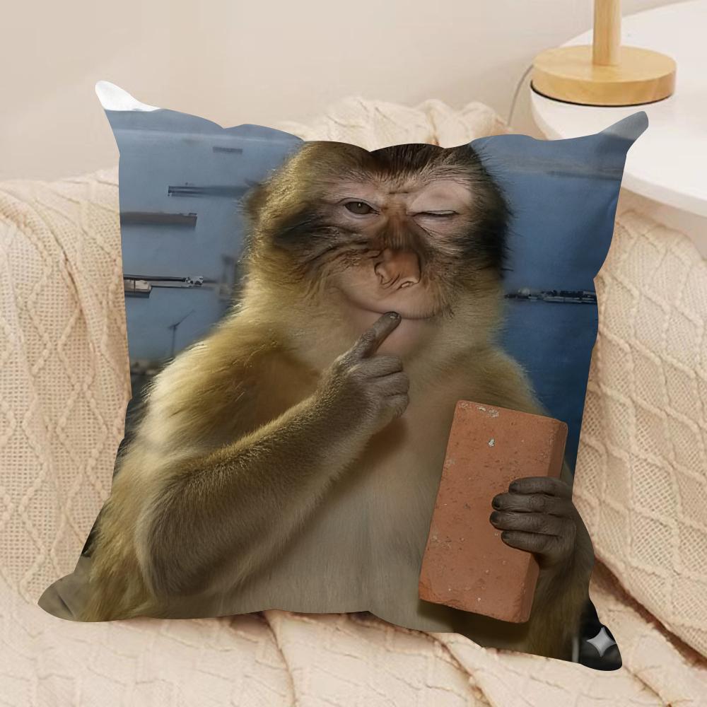 Vila Amalka Anime Cushion Cover Soft Plush Throw Pillow Cover  DoubleSided Decorative Cushion Case  Sofa Bedroom Home Decor