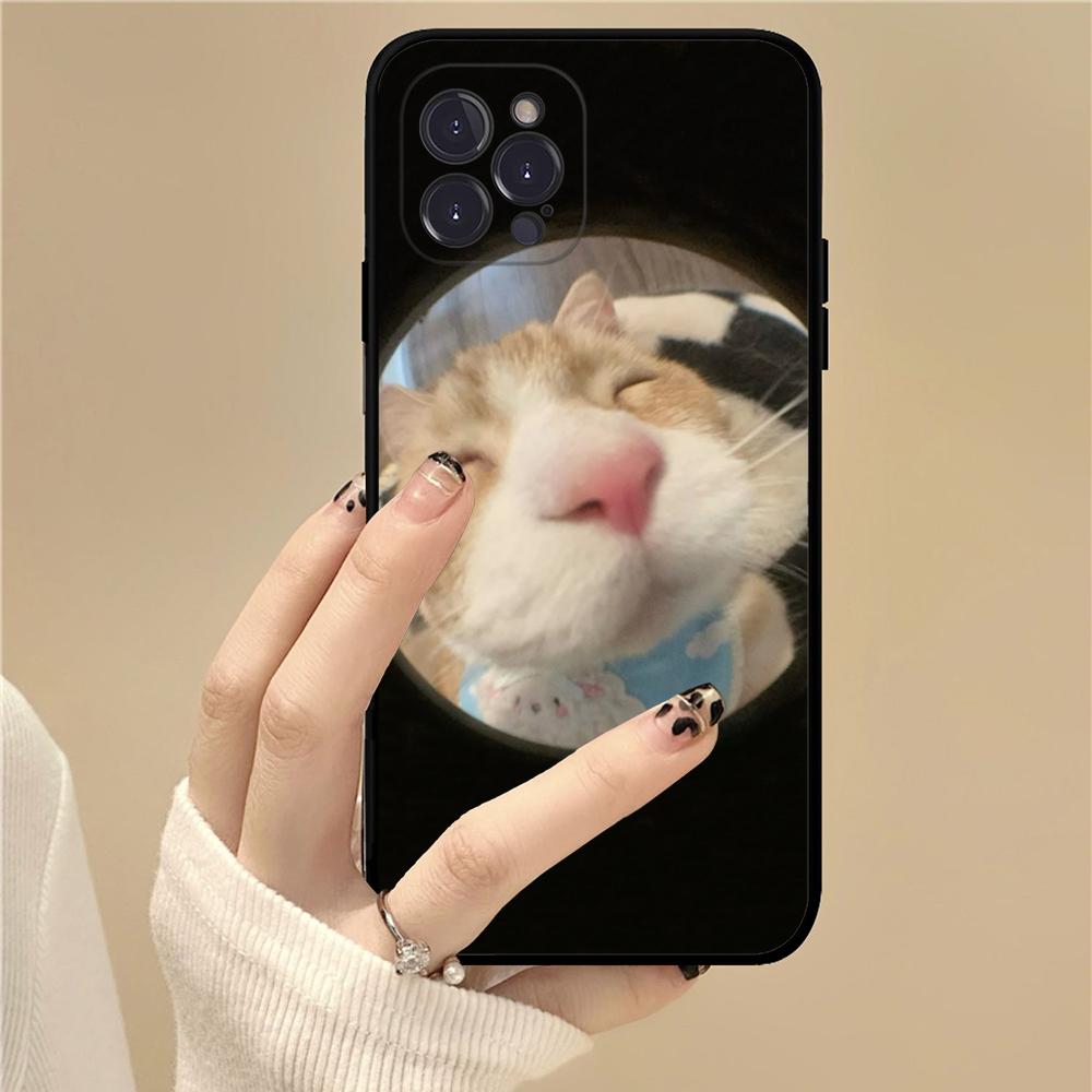 Pet Cat Funny Memes Phone Case For IPhone 16 15 14 11 12 13 Mini Pro XS Max Cover 6 7 8 Plus X Funda Shell