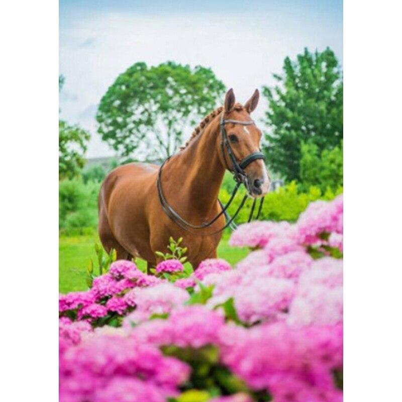 Neue 5D DIY Landschaft Diamant Malerei Pferd Diamant Stickerei Tier Kreuz Stich Volle Runde Bohrer Wohnkultur Manuelle Geschenk