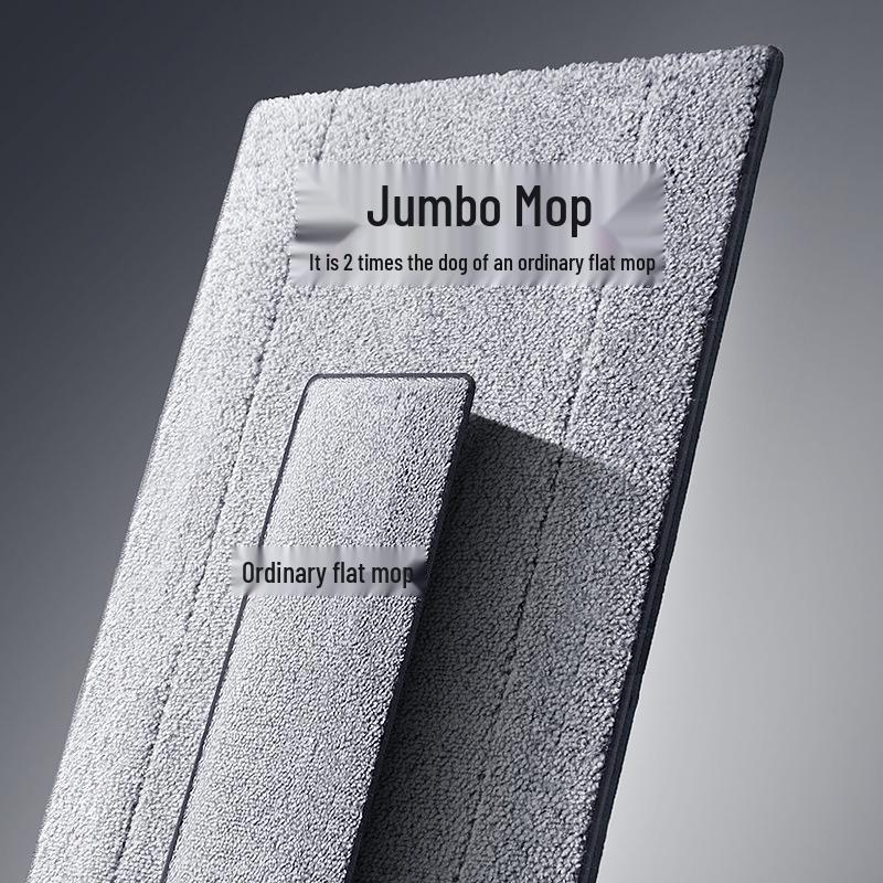 David 2021 Flachmopp: Freihändig, Doppelte Verwendung für Trocken- und Nassreinigung