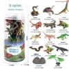 Children's Cognitive Toys: Frog Tadpole Growth Cycle Models