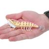 3g ABS Luminous Squid Hook Artificial Simulation Shrimp Fishing Lures Baits Fish Tackle Accessories005#